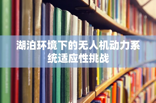 湖泊环境下的无人机动力系统适应性挑战