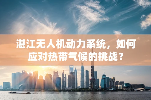 湛江无人机动力系统，如何应对热带气候的挑战？