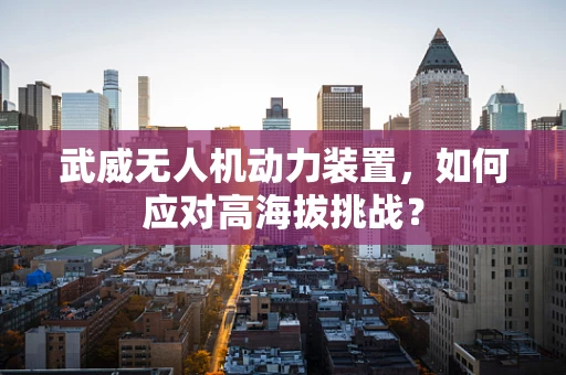 武威无人机动力装置，如何应对高海拔挑战？