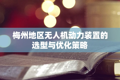 梅州地区无人机动力装置的选型与优化策略