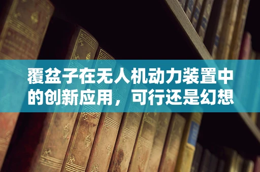 覆盆子在无人机动力装置中的创新应用，可行还是幻想？