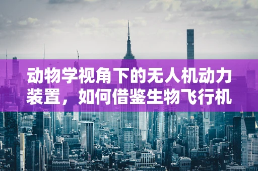 动物学视角下的无人机动力装置，如何借鉴生物飞行机制？