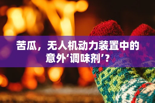 苦瓜，无人机动力装置中的意外‘调味剂’？