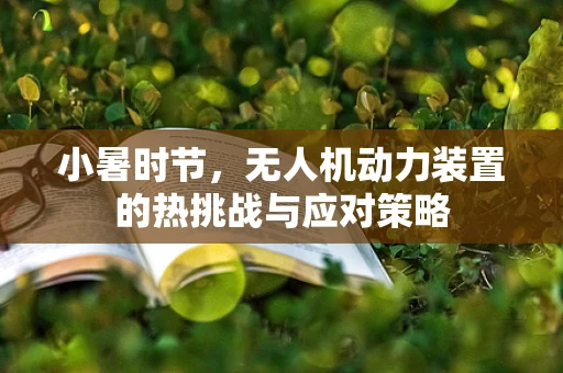 小暑时节，无人机动力装置的热挑战与应对策略