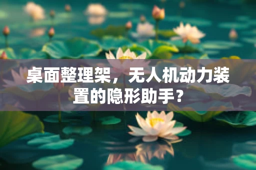 桌面整理架，无人机动力装置的隐形助手？