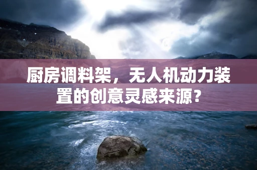 厨房调料架，无人机动力装置的创意灵感来源？