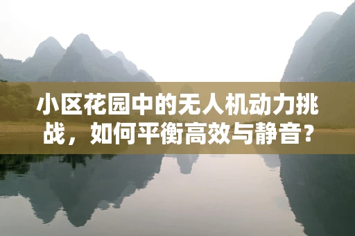 小区花园中的无人机动力挑战，如何平衡高效与静音？