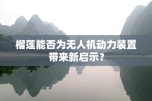 榴莲能否为无人机动力装置带来新启示？