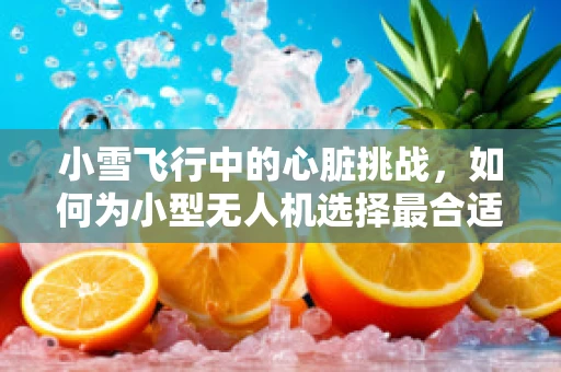 小雪飞行中的心脏挑战，如何为小型无人机选择最合适的动力装置？