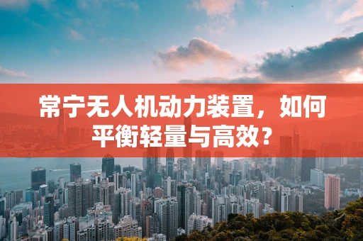 常宁无人机动力装置，如何平衡轻量与高效？