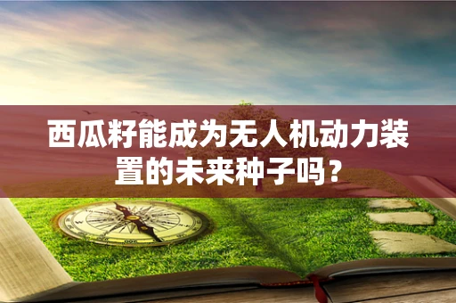 西瓜籽能成为无人机动力装置的未来种子吗？