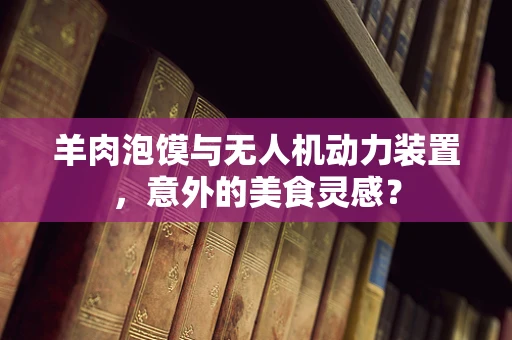 羊肉泡馍与无人机动力装置，意外的美食灵感？