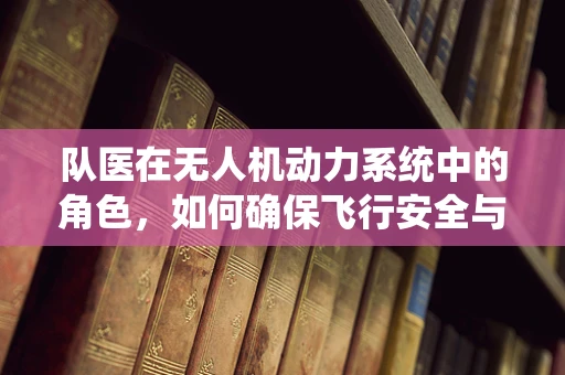 队医在无人机动力系统中的角色，如何确保飞行安全与效率？