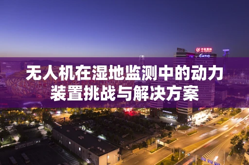 无人机在湿地监测中的动力装置挑战与解决方案