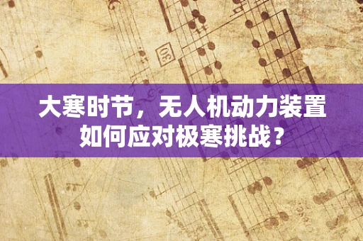 大寒时节，无人机动力装置如何应对极寒挑战？