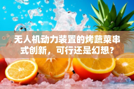 无人机动力装置的烤蔬菜串式创新，可行还是幻想？