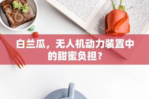 白兰瓜，无人机动力装置中的甜蜜负担？