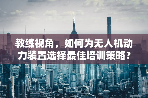 教练视角，如何为无人机动力装置选择最佳培训策略？