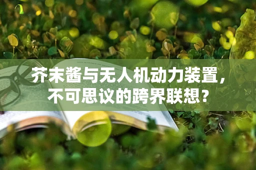 芥末酱与无人机动力装置，不可思议的跨界联想？