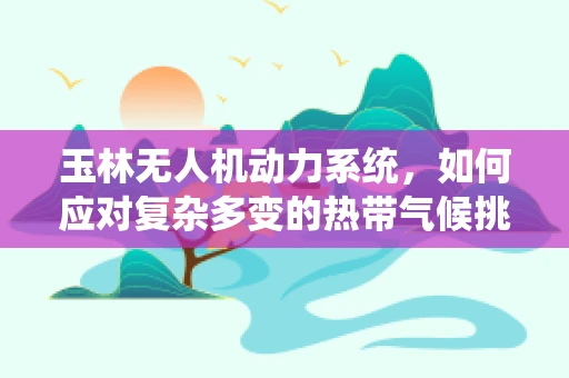 玉林无人机动力系统，如何应对复杂多变的热带气候挑战？