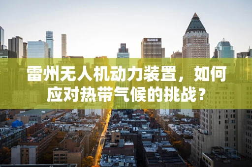 雷州无人机动力装置，如何应对热带气候的挑战？