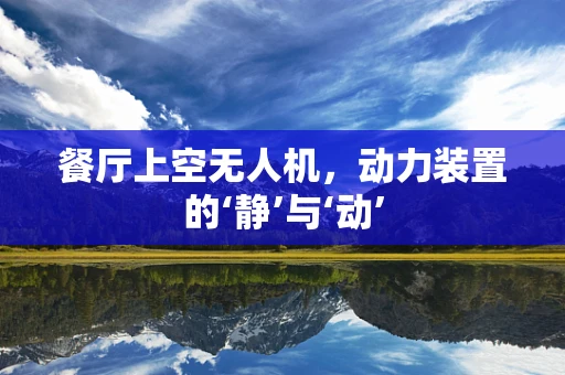 餐厅上空无人机，动力装置的‘静’与‘动’