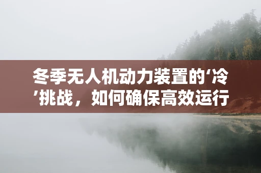 冬季无人机动力装置的‘冷’挑战，如何确保高效运行？