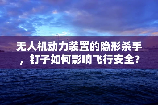 无人机动力装置的隐形杀手，钉子如何影响飞行安全？