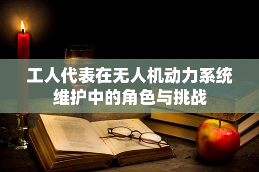 工人代表在无人机动力系统维护中的角色与挑战