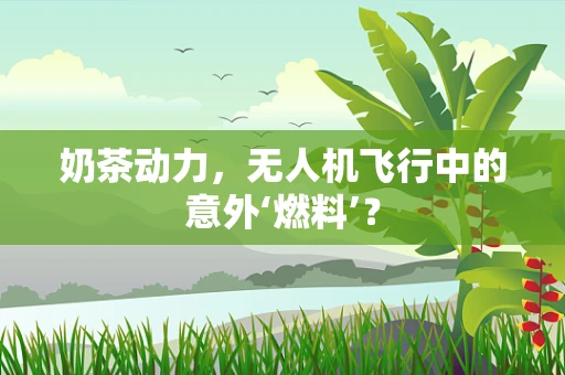 奶茶动力，无人机飞行中的意外‘燃料’？