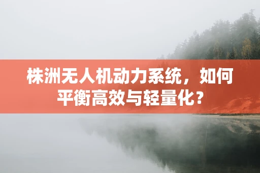 株洲无人机动力系统，如何平衡高效与轻量化？