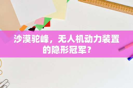 沙漠驼峰，无人机动力装置的隐形冠军？