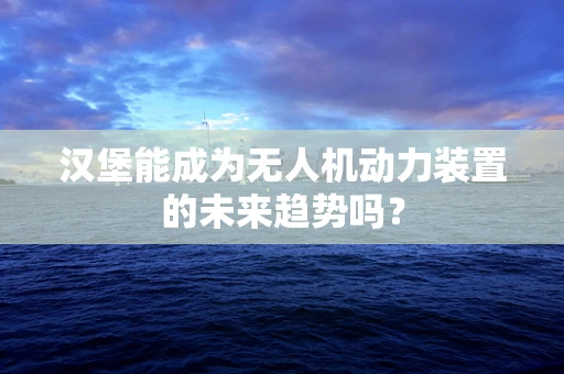 汉堡能成为无人机动力装置的未来趋势吗？