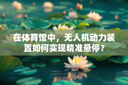 在体育馆中，无人机动力装置如何实现精准悬停？