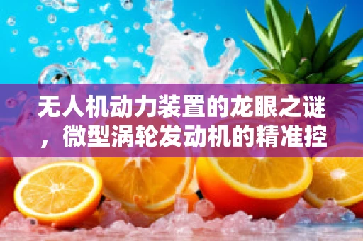 无人机动力装置的龙眼之谜，微型涡轮发动机的精准控制