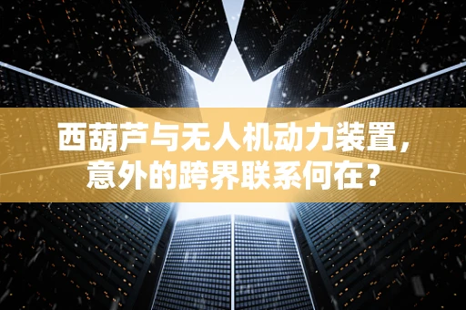 西葫芦与无人机动力装置，意外的跨界联系何在？