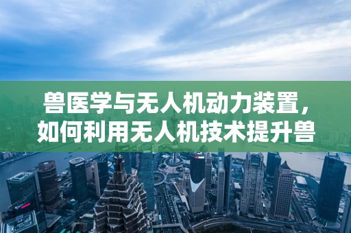 兽医学与无人机动力装置，如何利用无人机技术提升兽医诊断效率？