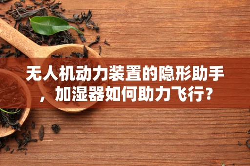 无人机动力装置的隐形助手，加湿器如何助力飞行？