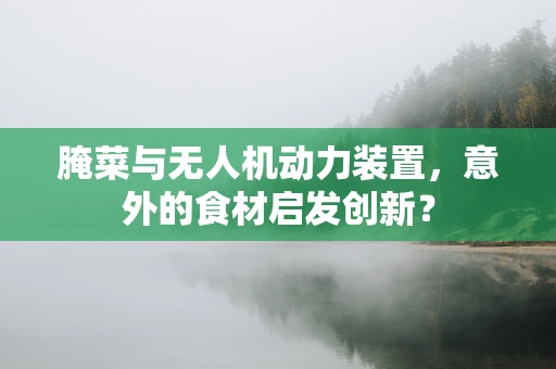 腌菜与无人机动力装置，意外的食材启发创新？