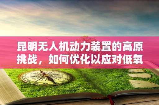 昆明无人机动力装置的高原挑战，如何优化以应对低氧环境？