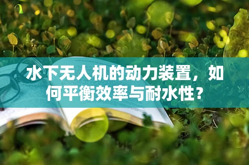 水下无人机的动力装置，如何平衡效率与耐水性？