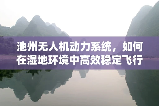 池州无人机动力系统，如何在湿地环境中高效稳定飞行？