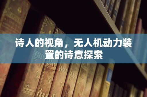 诗人的视角，无人机动力装置的诗意探索