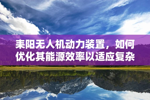 耒阳无人机动力装置，如何优化其能源效率以适应复杂地形？