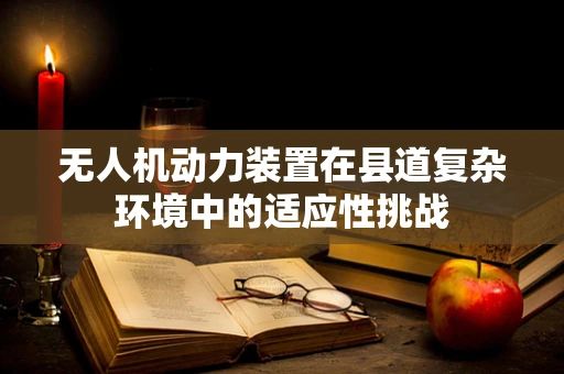 无人机动力装置在县道复杂环境中的适应性挑战