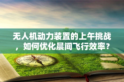 无人机动力装置的上午挑战，如何优化晨间飞行效率？