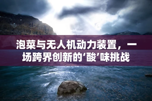 泡菜与无人机动力装置，一场跨界创新的‘酸’味挑战