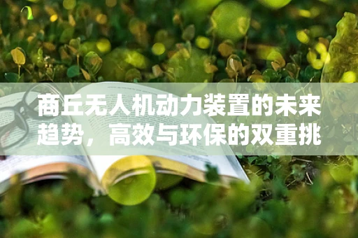 商丘无人机动力装置的未来趋势，高效与环保的双重挑战