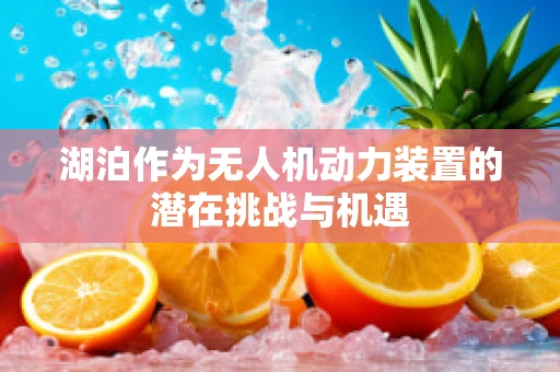 湖泊作为无人机动力装置的潜在挑战与机遇