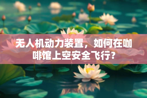 无人机动力装置，如何在咖啡馆上空安全飞行？